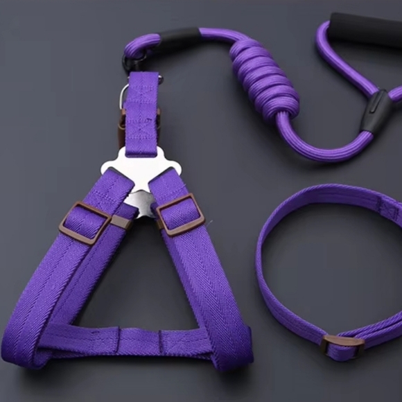 3 Piece, Messsge Me For Colors, Dog harness, collars, and leash set - Picture 4 of 9